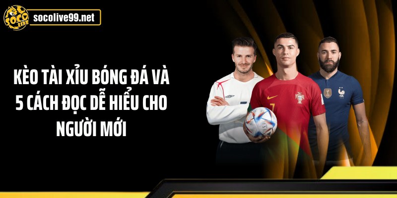 Kèo Tài Xỉu Bóng Đá Và 5 Cách Đọc Dễ Hiểu Cho Người Mới