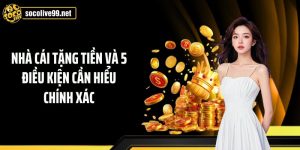 Nhà Cái Tặng Tiền Và 5 Điều Kiện Cần Hiểu Chính Xác